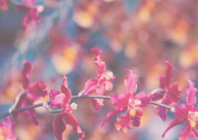 手机攻击器APP下载